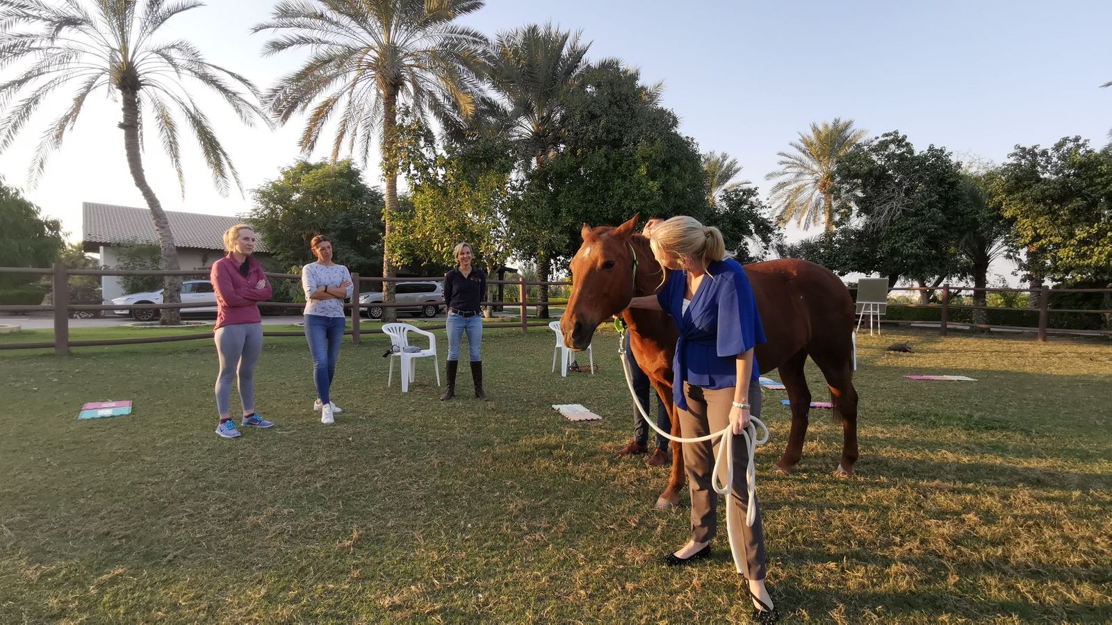 A Therapeutic Day with Horses at Meliã Desert Palm Dubai