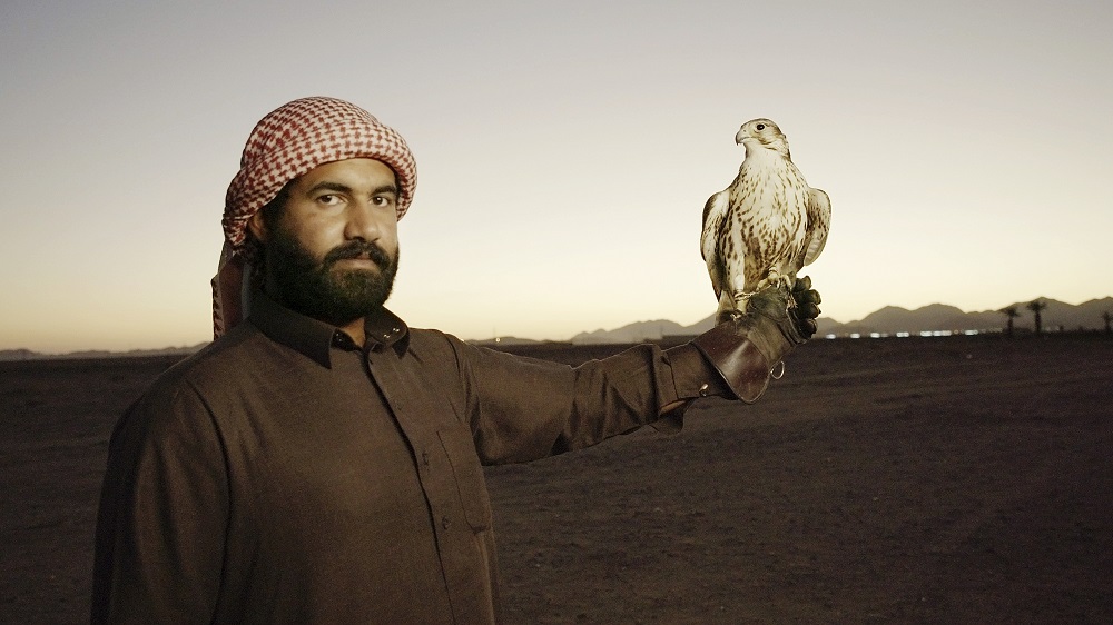 New Documentary Sheds Light on Saudi Arabia’s Falconers