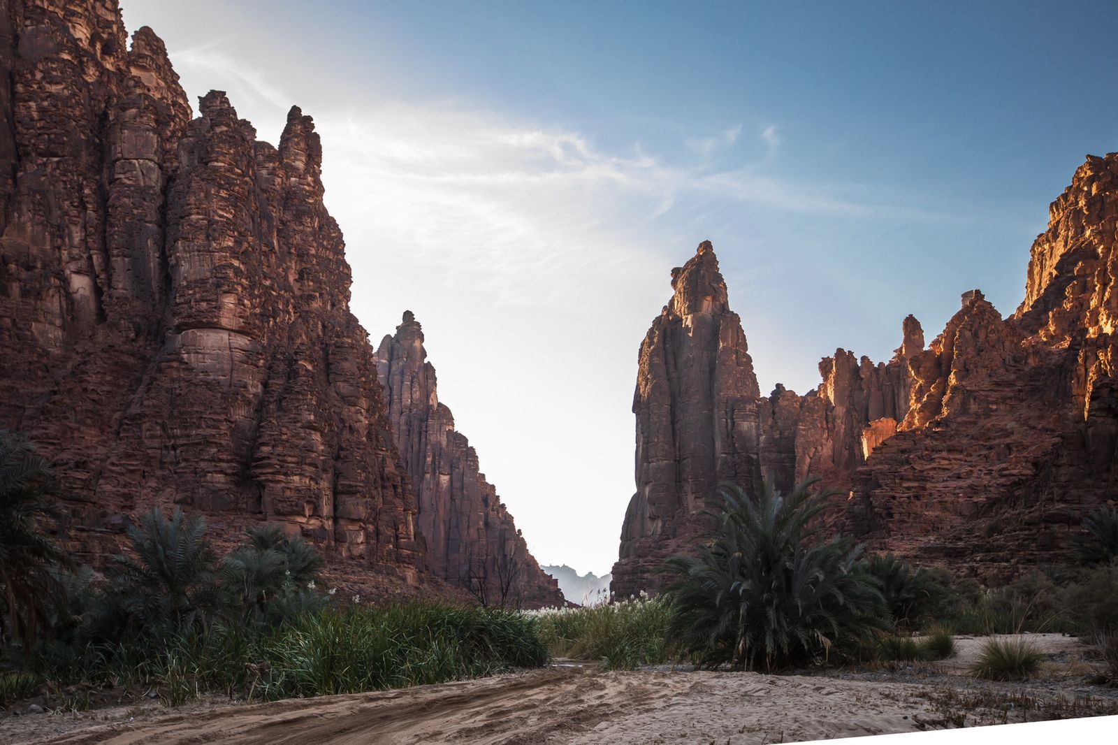 وجهة سياحية في “صيف السعودية” .. وادي الديسة يأسر زوار تبوك بتضاريسه ومغامراته