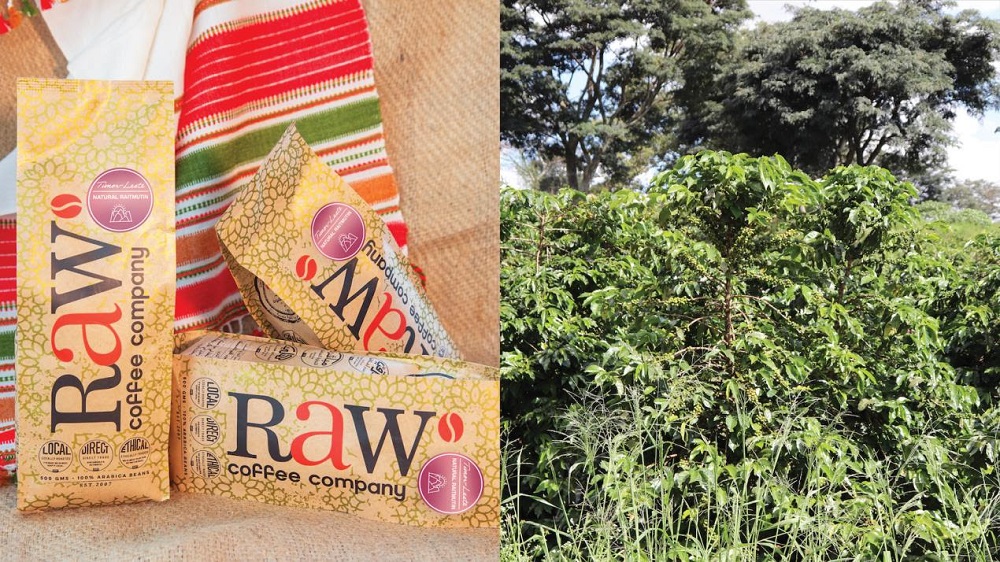 3 Never Before Tasted Coffee’s Now Available at Raw Coffee Company