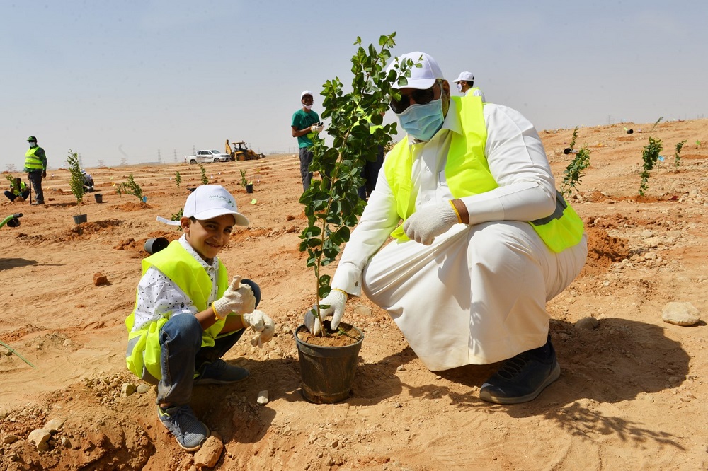 الرياض الخضراء يحتفل باليوم الوطني بزراعة خريطة المملكة بمشاركة أهالي المدينة