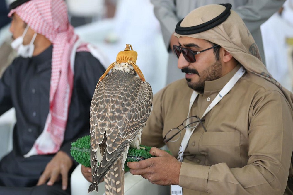 صقارون : مهرجان الملك عبدالعزيز للصقور أضاف الكثير لهذا الإرث العريق