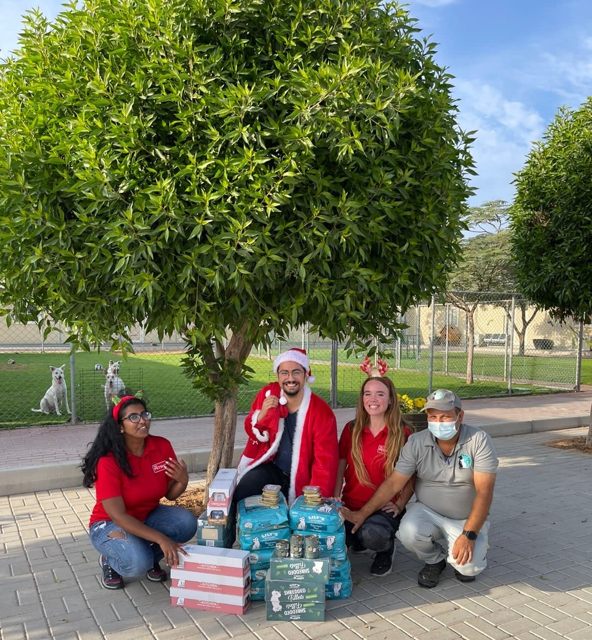 The Pet Shop and Lily’s Kitchen Deliver 1,000 Festive Meals to  Stray Dogs Center UAE and Ras Al Khaimah Animal Welfare Center