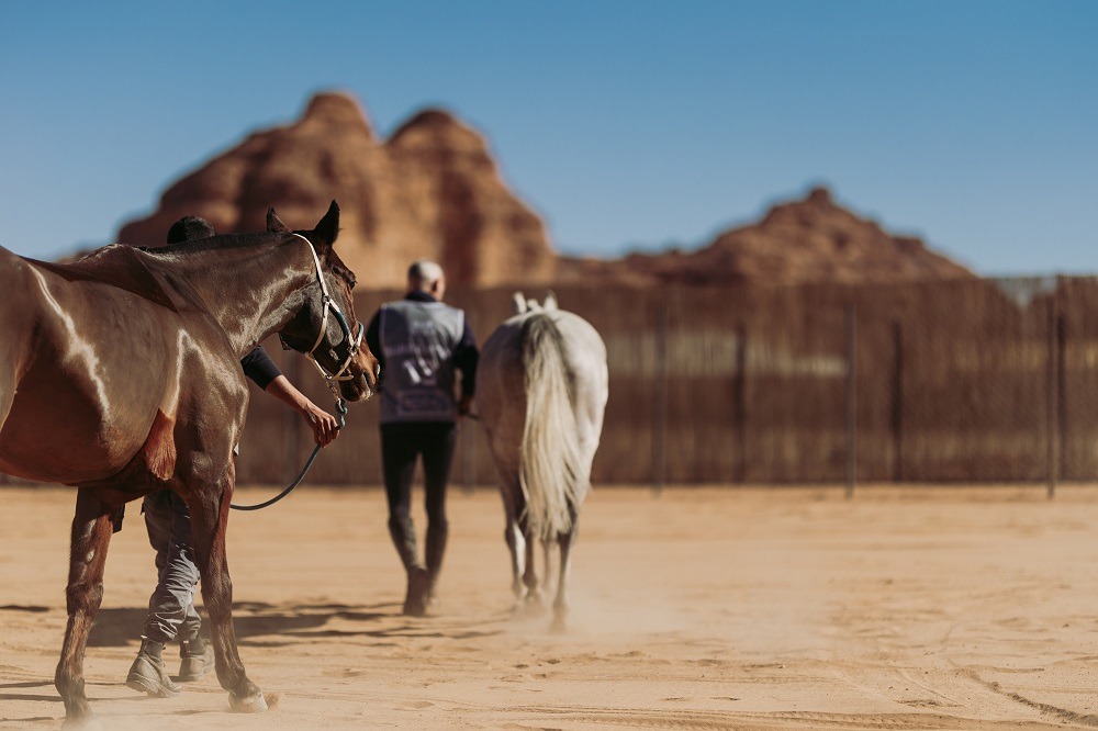 Build Up TO The 2022 Fursan Endurance Cup In Alula- Endurance 101