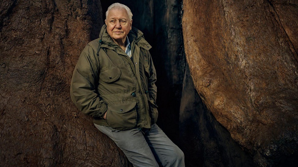 BBC Earth Announces Brand New Series The Green Planet with Sir David Attenborough