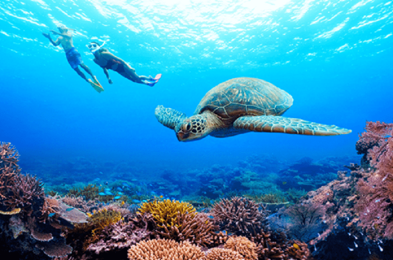 Diving Deep in Japan – Discover one of the world’s most undiscovered diving hotspots