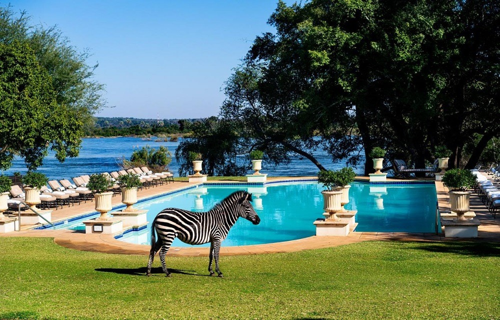 A Sophrology Retreat on the Banks of the Zambezi River