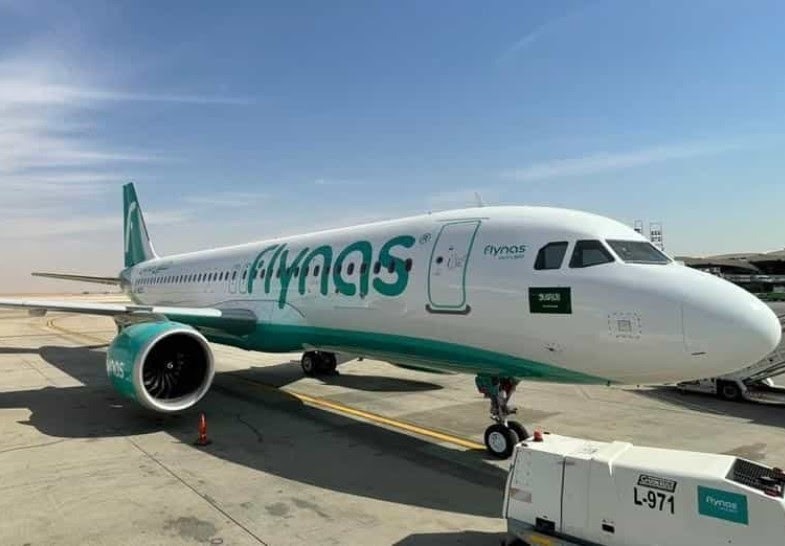 Flynas relaunch flights to AlUla