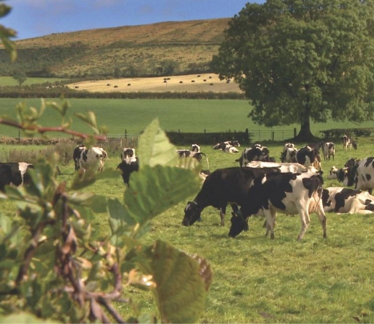 The United Kingdom of Great Britain and Northern Ireland promote European dairy creams in Saudi market