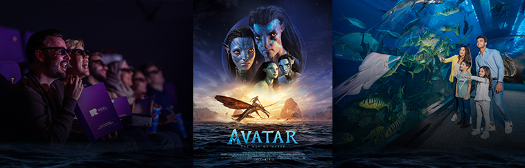 UAE Residents this one’s for you! Get a Complimentary Pass to Dubai Aquarium & Underwater Zoo when you watch Avatar 2, FIFA World Cup Final match and more at Reel Cinemas between December 15-18!