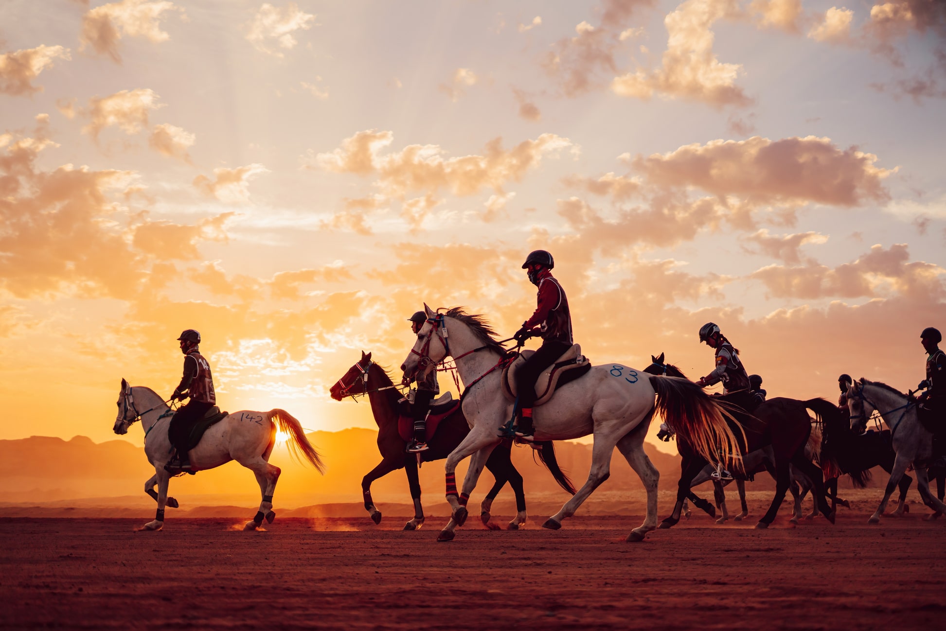 Custodian of Two Holy Mosques Endurance Cup 2023 proves AlUla’s credentials as world-class equestrian destination