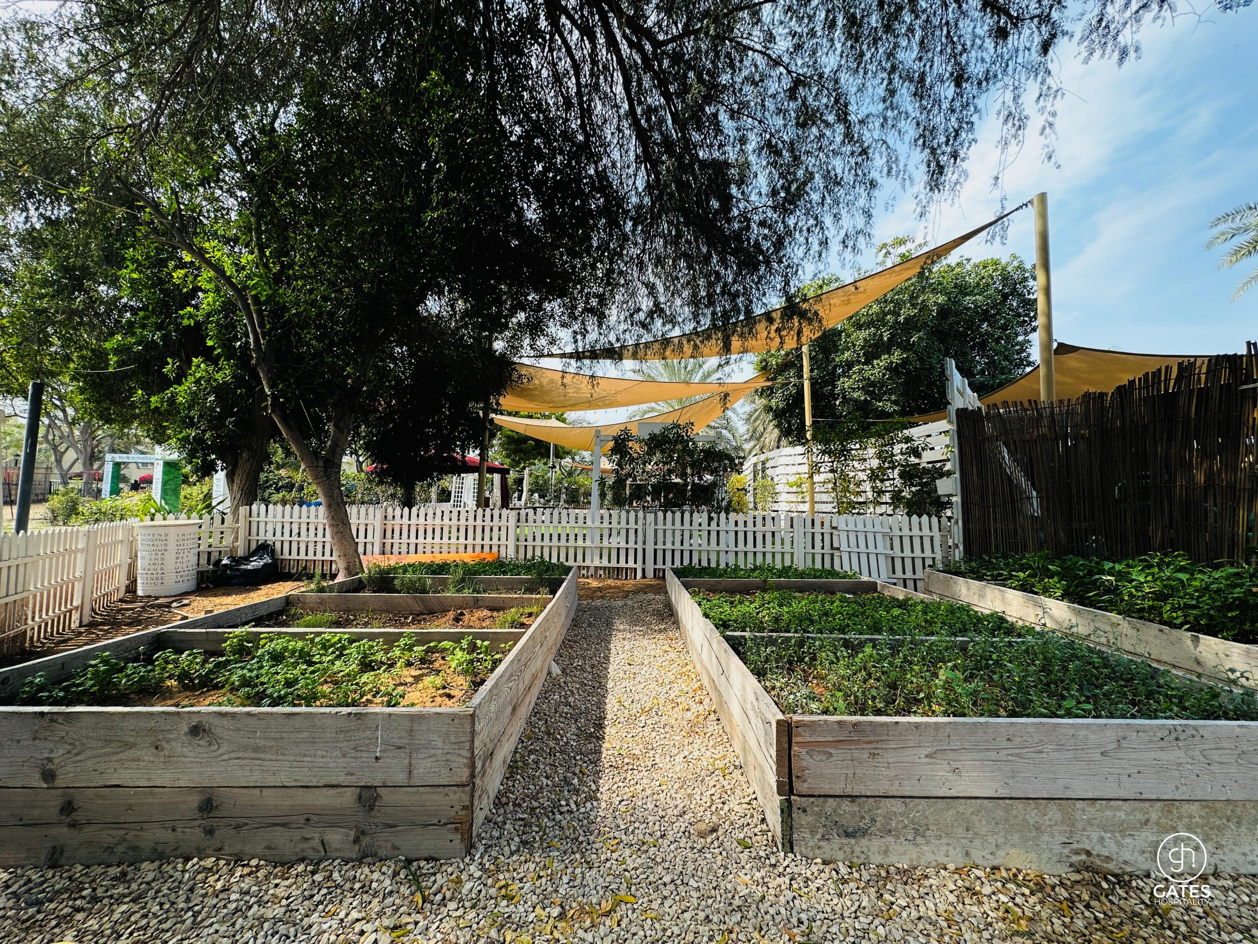 Reform Social & Grill Delivers Unique Garden-to-Table Experience with Homegrown Produce