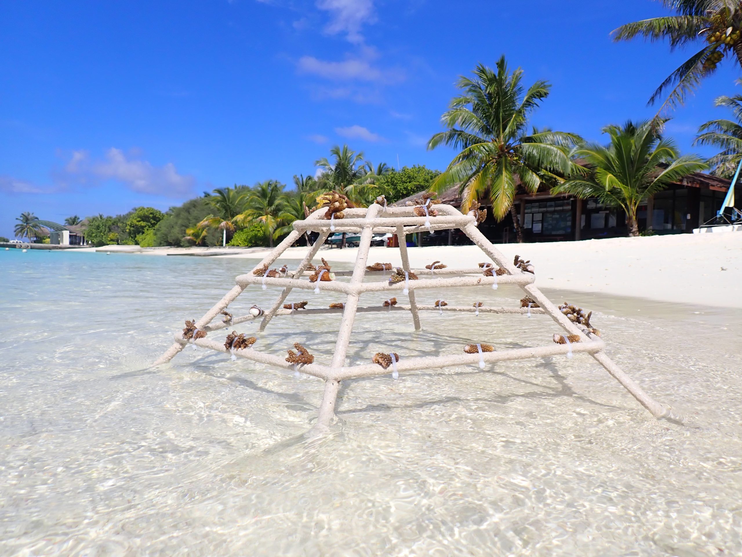 Sheraton Maldives Full Moon Resort & Spa Makes Waves In Sustainability