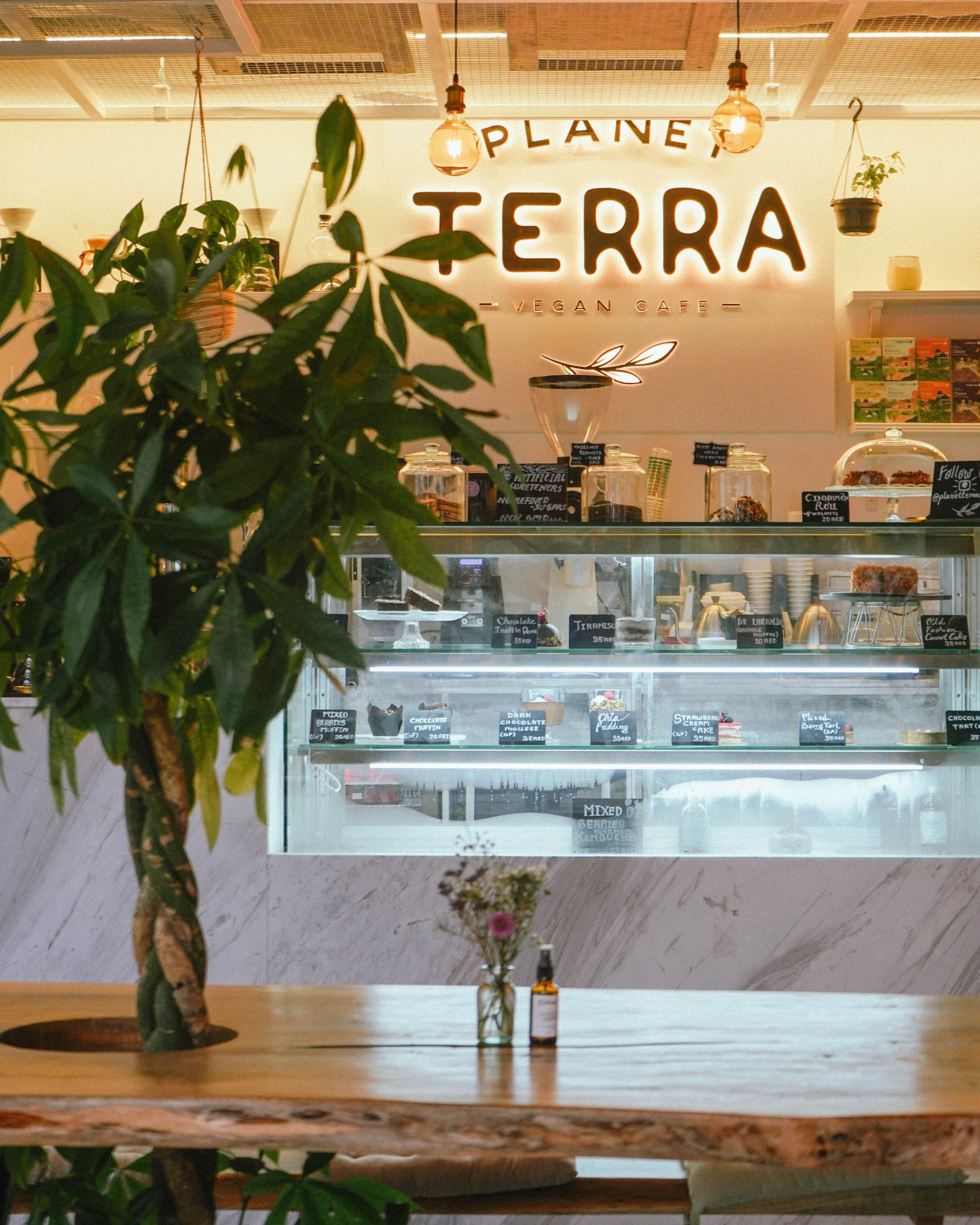 Healthy dining at Planet Terra – Dubai’s vegan and earth-friendly café