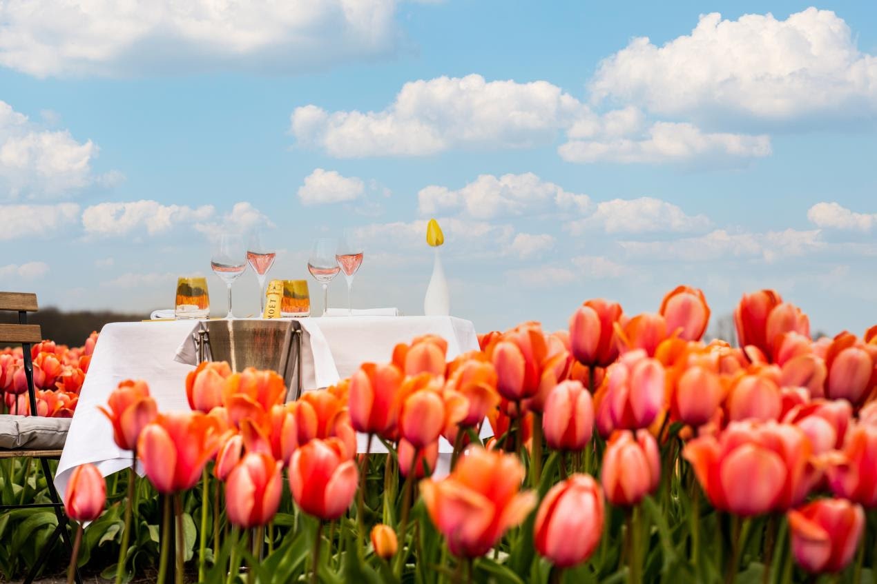 Experience Amsterdam in Full Bloom with Private Tulip Estate Visits  Curated by Anantara Grand Hotel Krasnapolsky Amsterdam