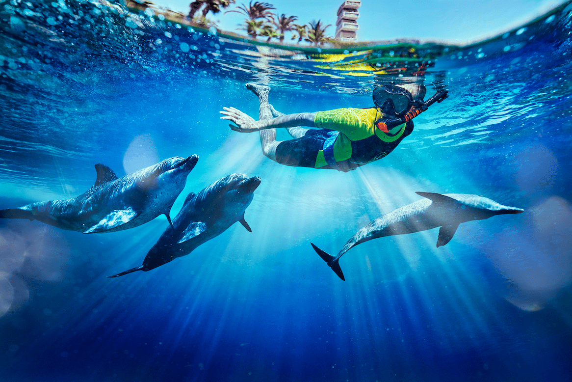 Atlantis Aquaventure’s Dolphin Bay introduces Three New Co-Contact Programmes