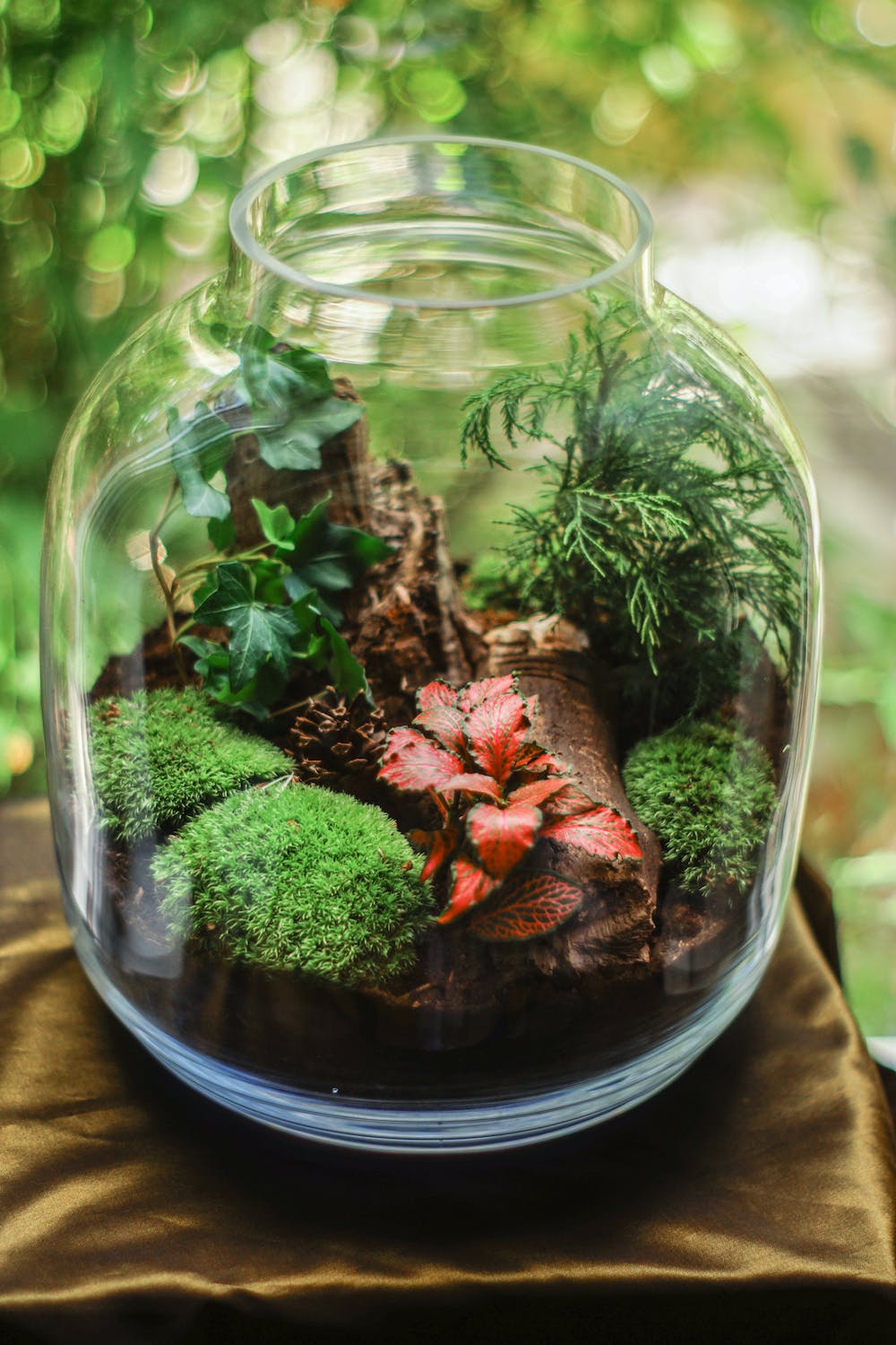 Unique things to do this weekend – Join the Terrarium Making Workshop at Grand Plaza Movenpick Media City on Global Wellness Day (10th June 2023)