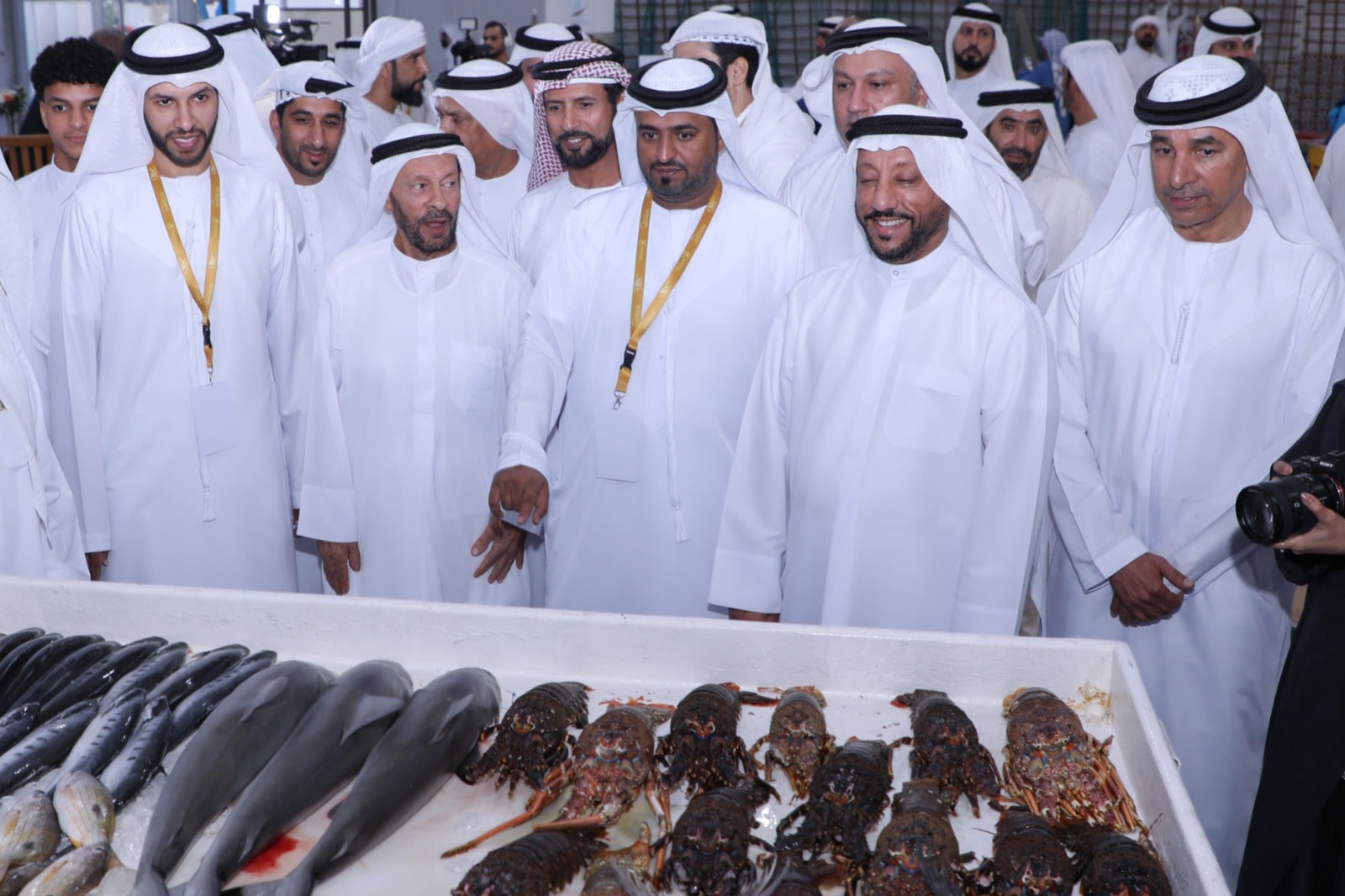 10th Al Maleh and Fishing Festival kicks off in Dibba Al Hisn: A Tribute to Heritage and the Fish Salting Industry