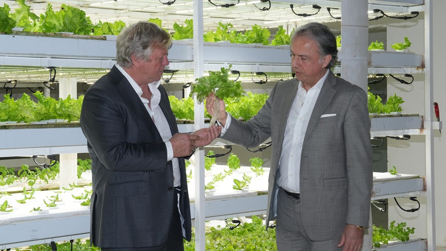 UAE-based Pure Food Technology unveils game-changing innovation in vertical farming to offer food security to UAE