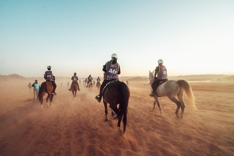 Elite Riders